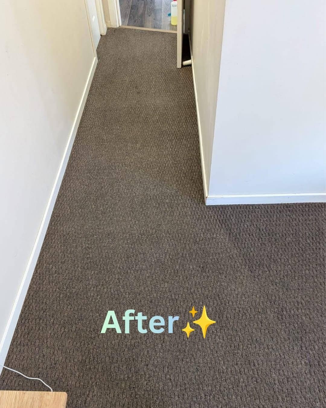 After Carpet Steam Cleaning