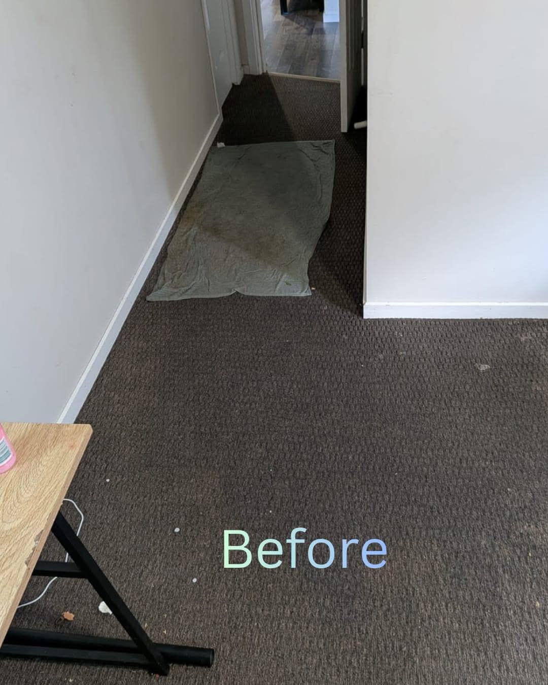 Before Carpet Steam Cleaning